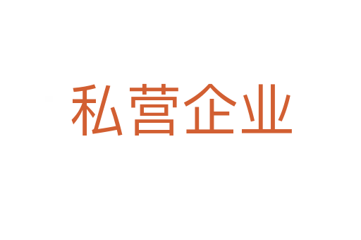 私营企业