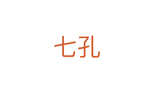 七孔