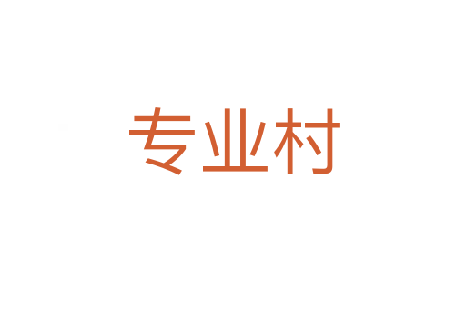 专业村