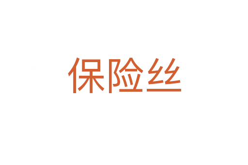 保险丝