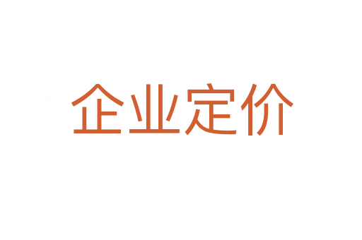 企业定价