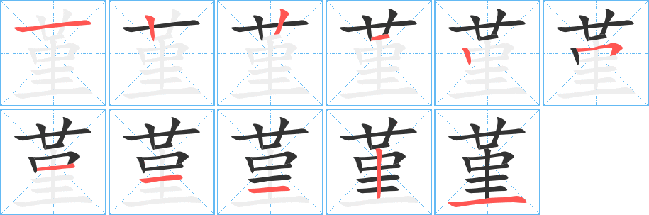 堇的笔顺分步演示