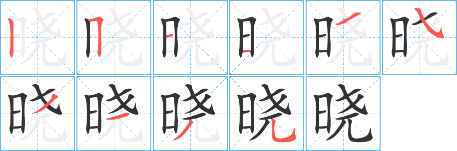 晓的笔顺分步演示