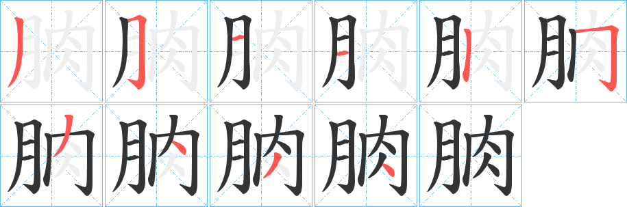 朒的笔顺分步演示