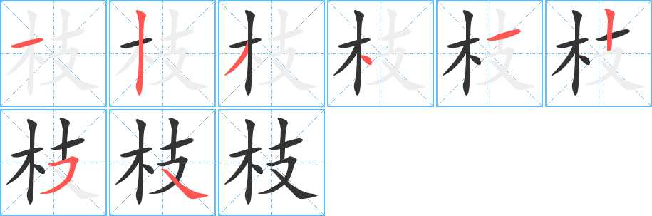 枝的笔顺分步演示