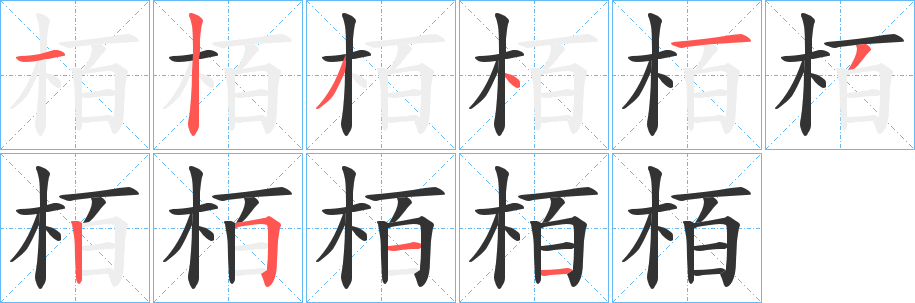 栢的笔顺分步演示