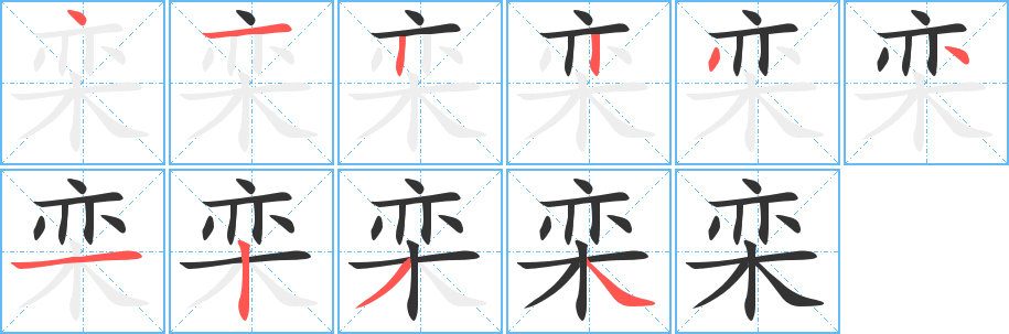 栾的笔顺分步演示