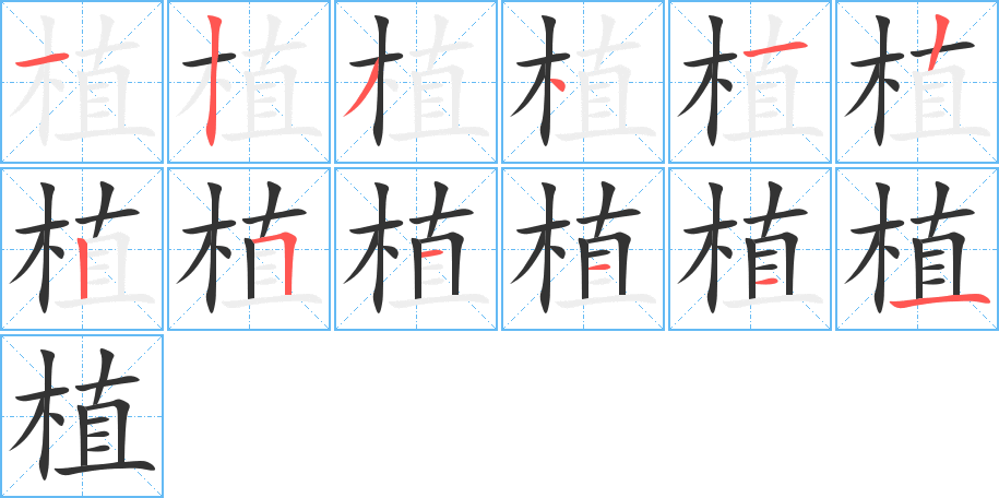 植的笔顺分步演示