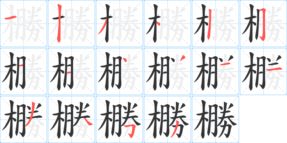 橳的笔顺分步演示