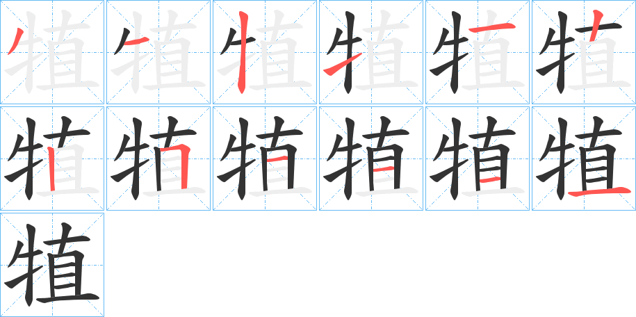 犆的笔顺分步演示