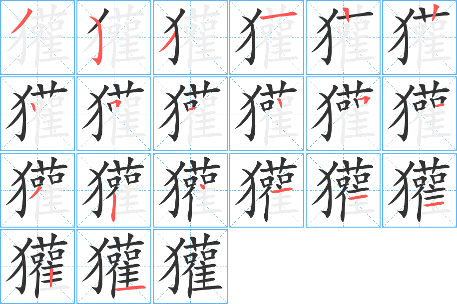 獾的笔顺分步演示