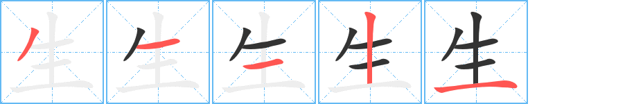 生的笔顺分步演示