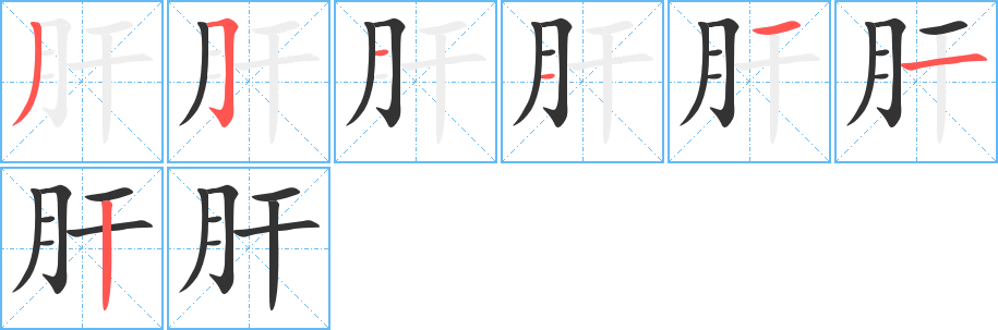 肝的笔顺分步演示