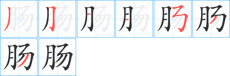 肠的笔顺分步演示