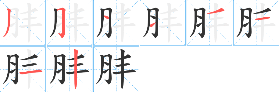 肨的笔顺分步演示