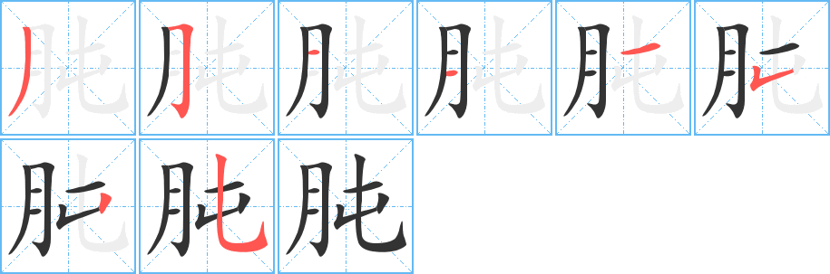 肫的笔顺分步演示