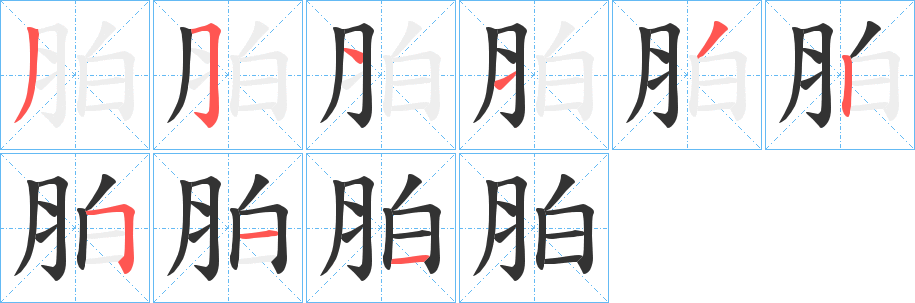 胉的笔顺分步演示