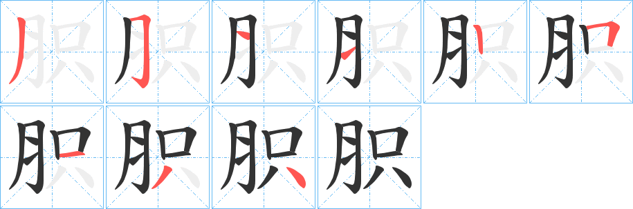 胑的笔顺分步演示