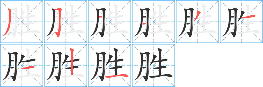 胜的笔顺分步演示