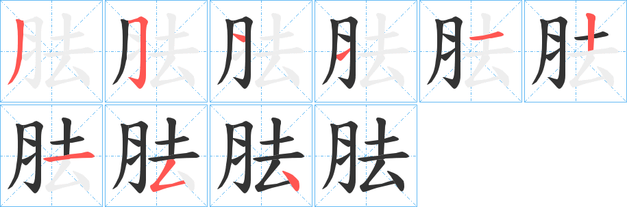 胠的笔顺分步演示