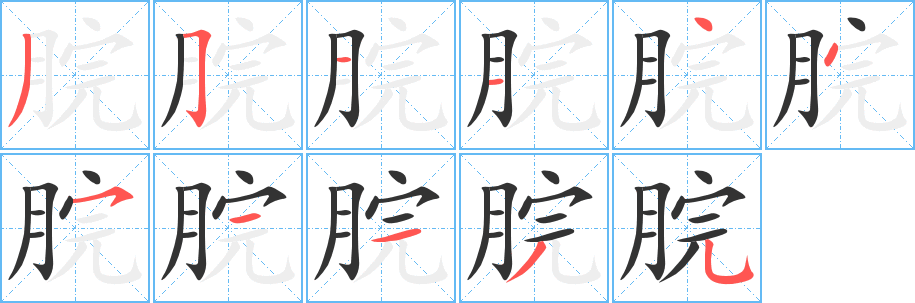 脘的笔顺分步演示