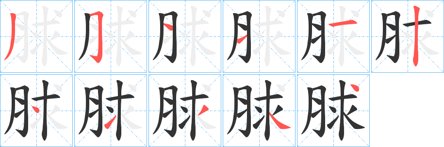 脙的笔顺分步演示