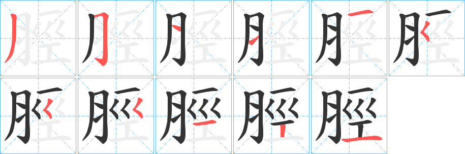 脛的笔顺分步演示