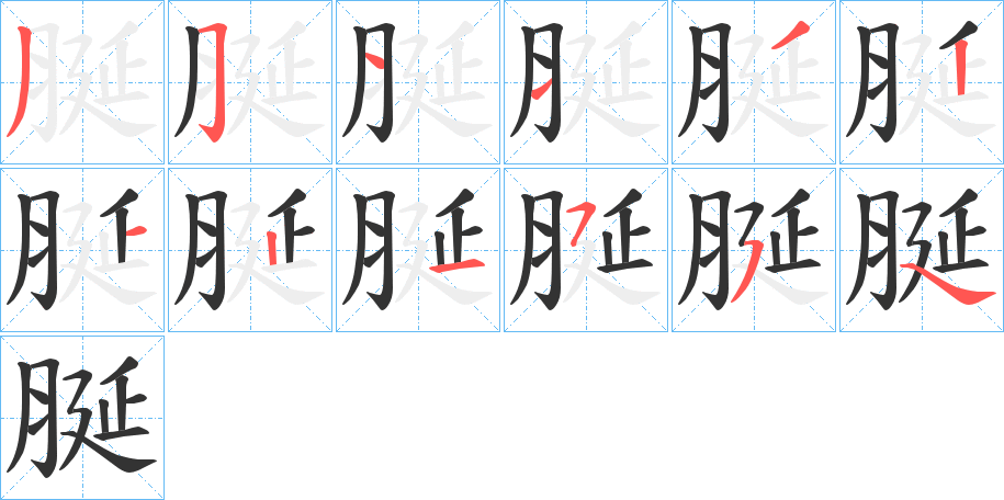 脠的笔顺分步演示