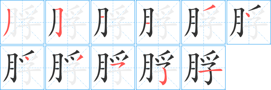 脬的笔顺分步演示