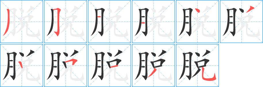 脱的笔顺分步演示