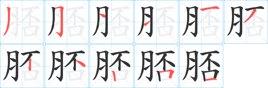 脴的笔顺分步演示