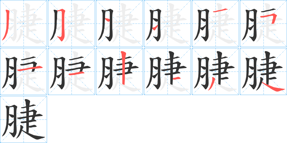 脻的笔顺分步演示