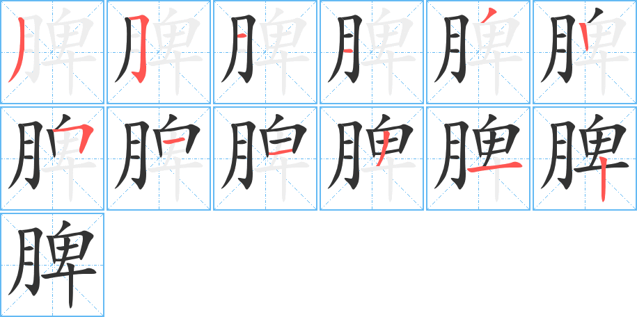 脾的笔顺分步演示