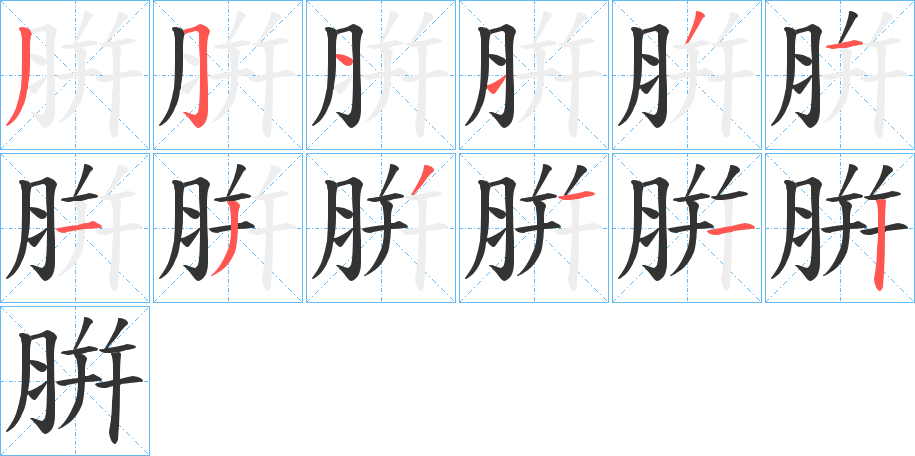 腁的笔顺分步演示