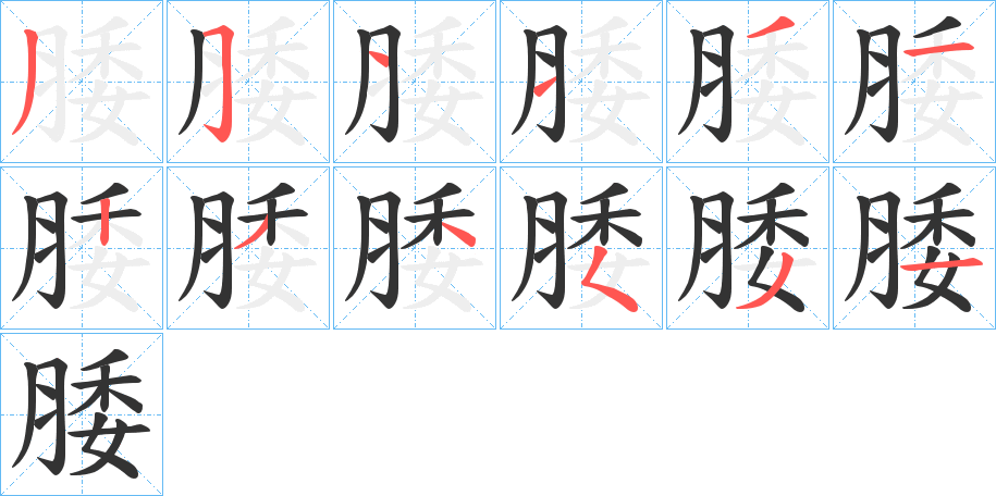 腇的笔顺分步演示