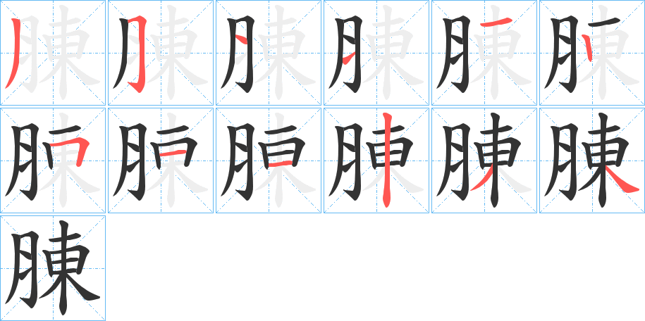 腖的笔顺分步演示