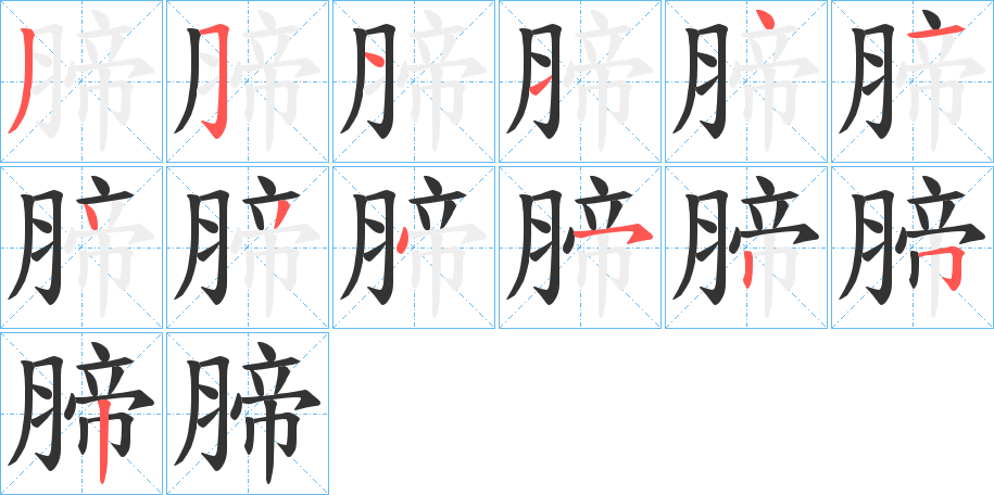 腣的笔顺分步演示