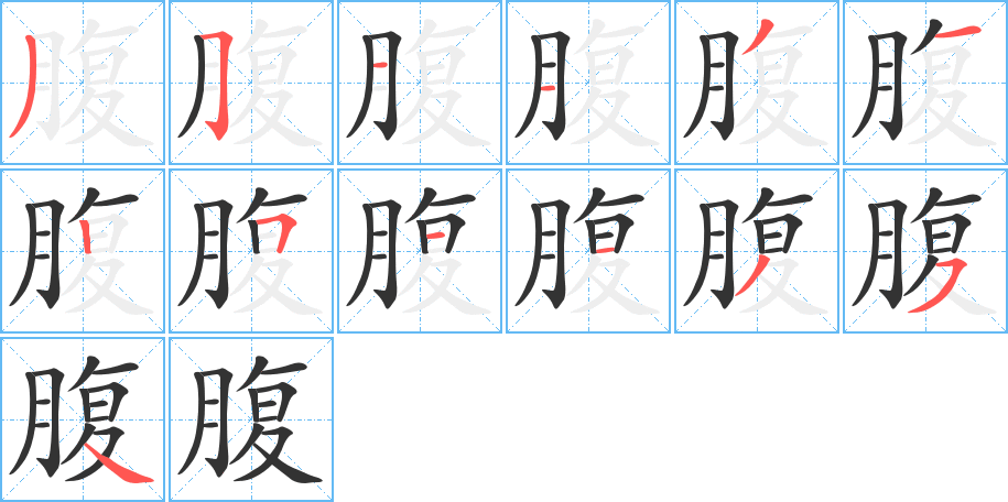 腹的笔顺分步演示