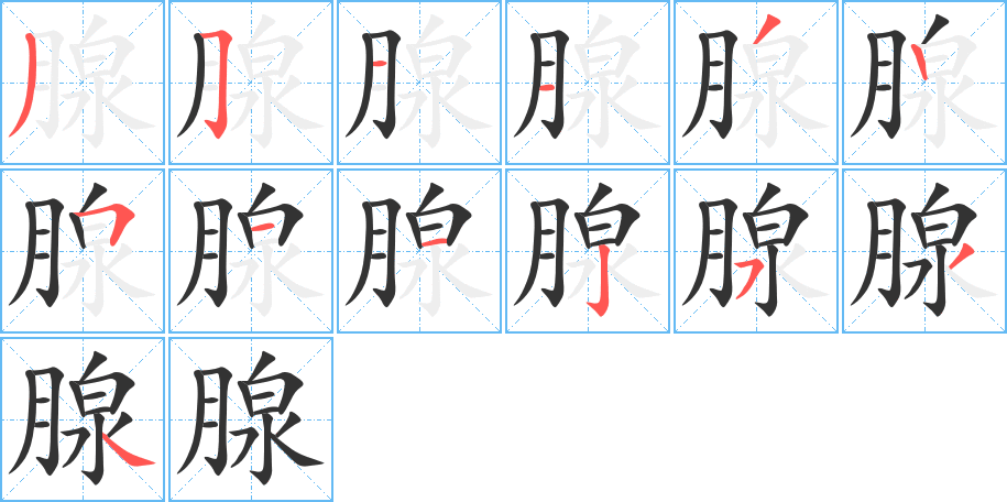 腺的笔顺分步演示