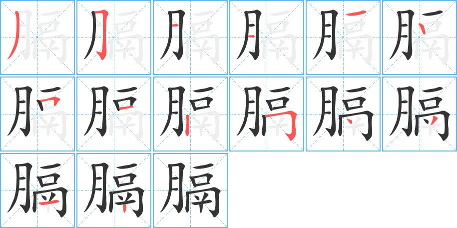 膈的笔顺分步演示