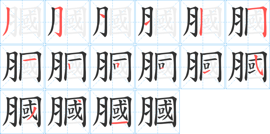 膕的笔顺分步演示