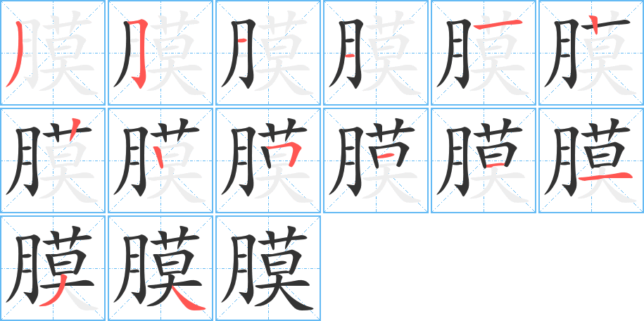 膜的笔顺分步演示