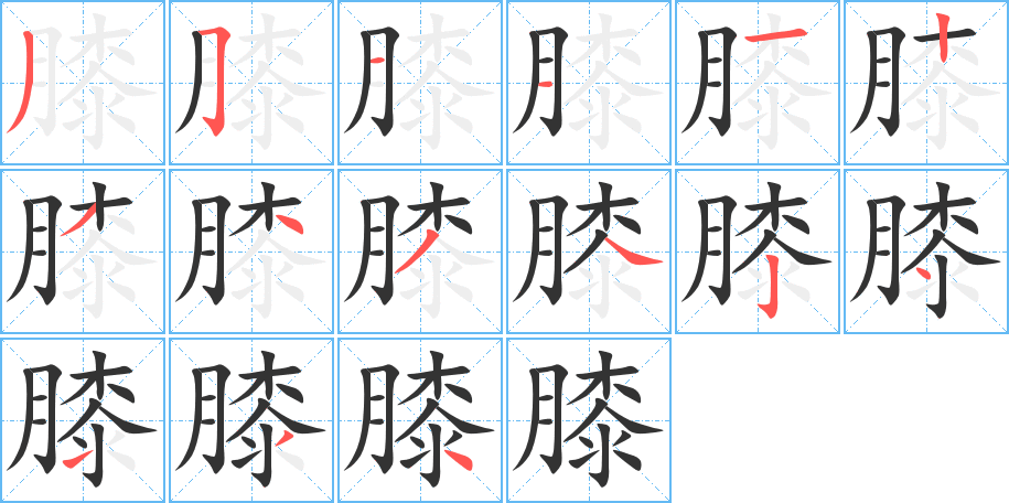 膝的笔顺分步演示