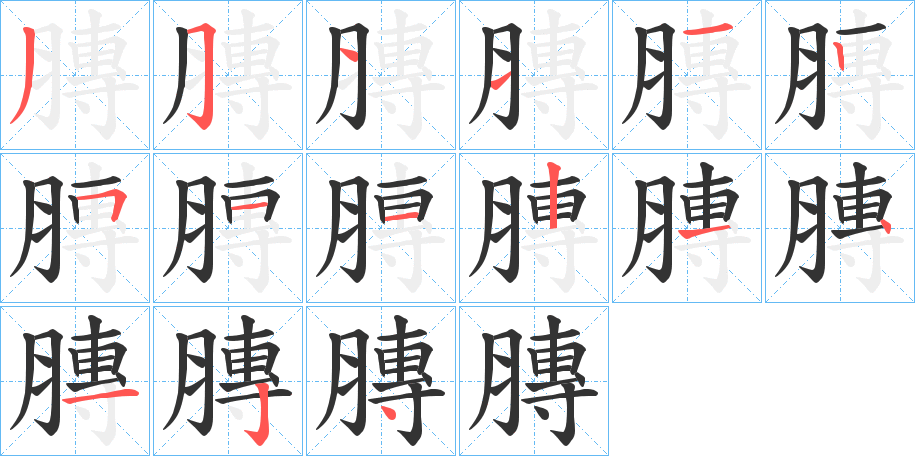 膞的笔顺分步演示