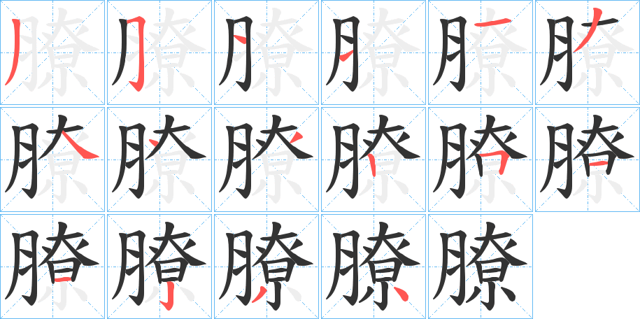 膫的笔顺分步演示