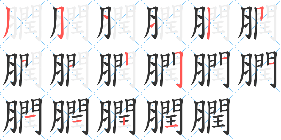 膶的笔顺分步演示