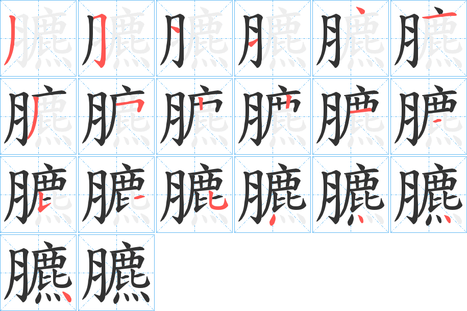 臕的笔顺分步演示