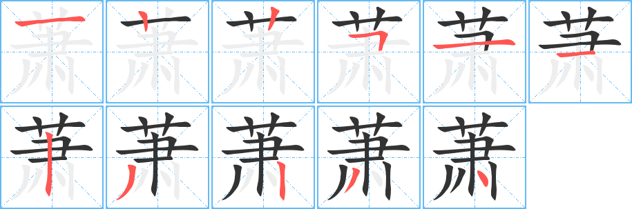 萧的笔顺分步演示