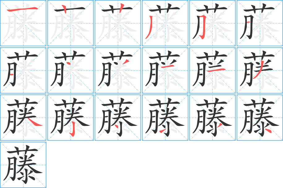 藤的笔顺分步演示