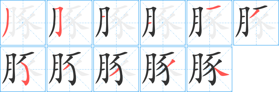 豚的笔顺分步演示